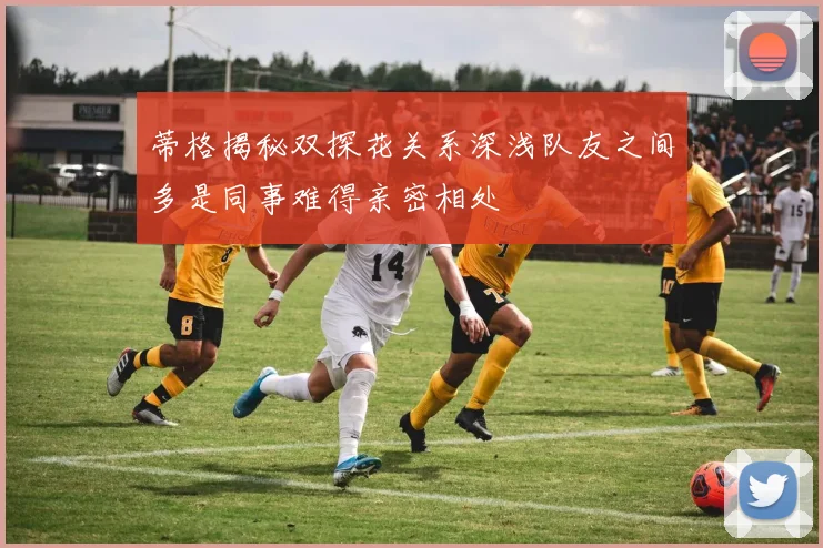 蒂格揭秘双探花关系深浅队友之间多是同事难得亲密相处